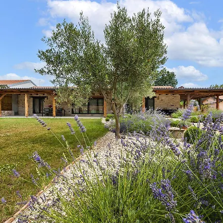 Mediterranes Mit 3 Klimaanlagen Und Privatem 1000m2 Garten Дом отдыха Ровинь